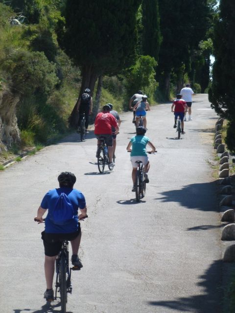 Split 3-Hour Guided Bike Tour - Key highlights you’ll remember