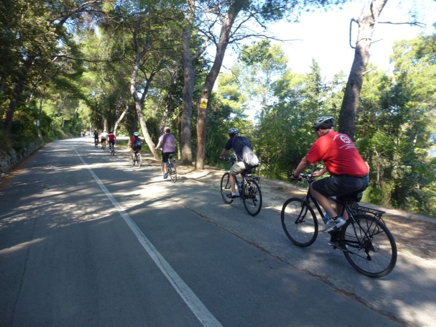 Split 3-Hour Guided Bike Tour - Sustipan cliffs, marina pass, and the ride back along the promenade