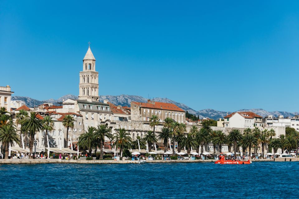 Split: 45-minute Semi-Submersible Submarine Trip - Marine life expectations: what’s realistic (and why you’ll still enjoy it)