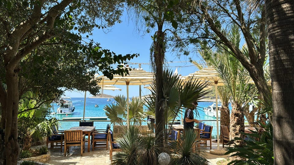 Split: Blue Lagoon, Hvar and 5 Islands Small Group Boat Tour - Maslinica on Šolta: peaceful village energy and olive-grove scenery