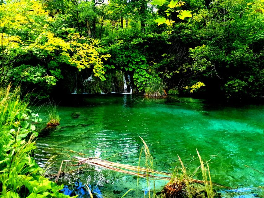 Split: Plitvice Lakes Guided Day Tour with Entry Tickets - Who should book this Plitvice day trip from Split