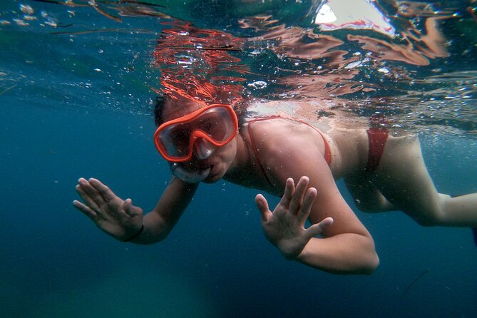 Split Sea Kayaking & Snorkeling Tour - Snorkeling and swimming: clear breaks, sea life sightings, and real comfort