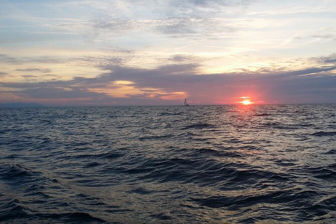 Split: Small-Group Half Day Sailing Trip - Key things to know before you go