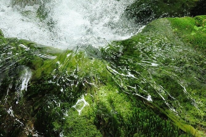 Split to Zagreb or airport Zagreb via Plitvice lakes for singles or couples - Your driver, your vehicle, and why the details help