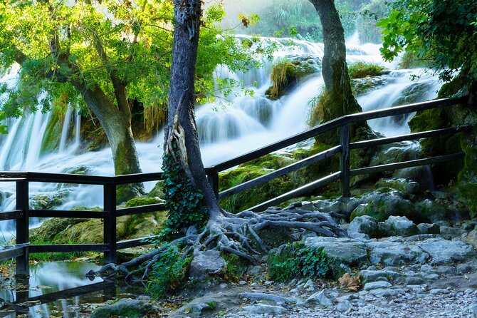 Split/Trogir/Kastela: Krka Private Tour - option: Wine Tasting - Plastovo vineyard tasting: local grapes, olive oil, and liqueurs built from foraged flavors