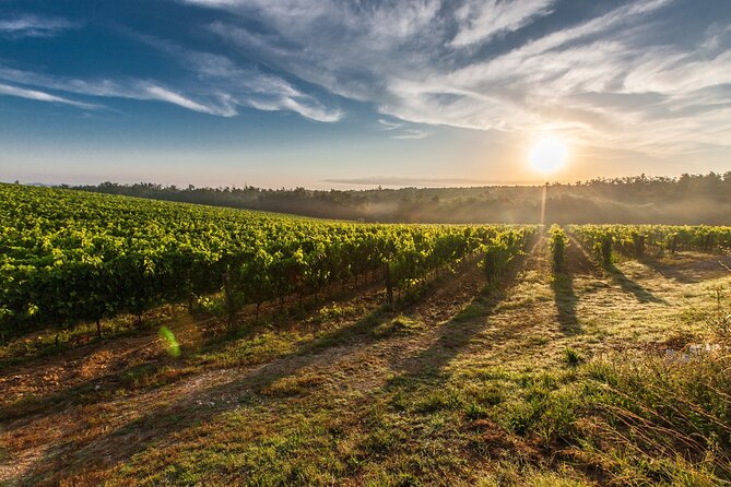 Split/Trogir/Kastela: Krka Private Tour - option: Wine Tasting - Who this tour fits best