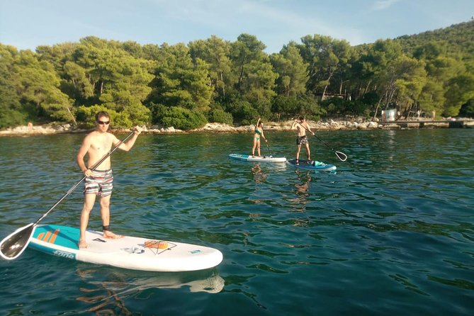 Stand Up Paddle Tour in Split - Guide-Led Safety: Leash, Life Vest, Insurance, and Real Swimmer Status