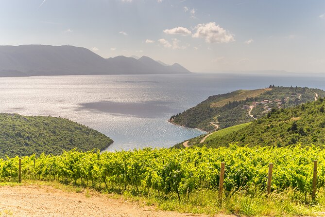 Transfer Split to Dubrovnik with Sightseeing in Ston Town - Timing: fitting a city-to-city transfer with multiple stops