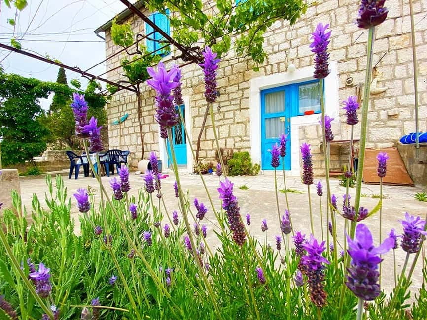 Trogir: Blue Lagoon, Maslinica, and Solinska Bay Boat Tour - Price and value: why $68 can feel fair here