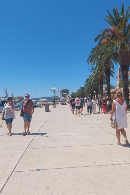 Trogir: City Highlights Guided Walking Tour - Should you book the Trogir City Highlights Guided Walking Tour?