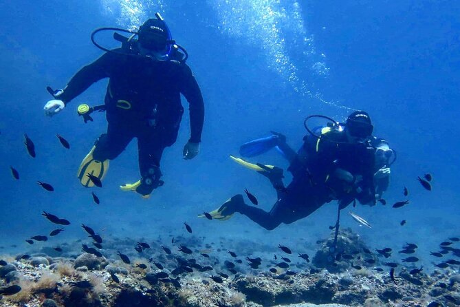 Try Scuba Diving in Split - Key Things That Make This Scuba Intro Work