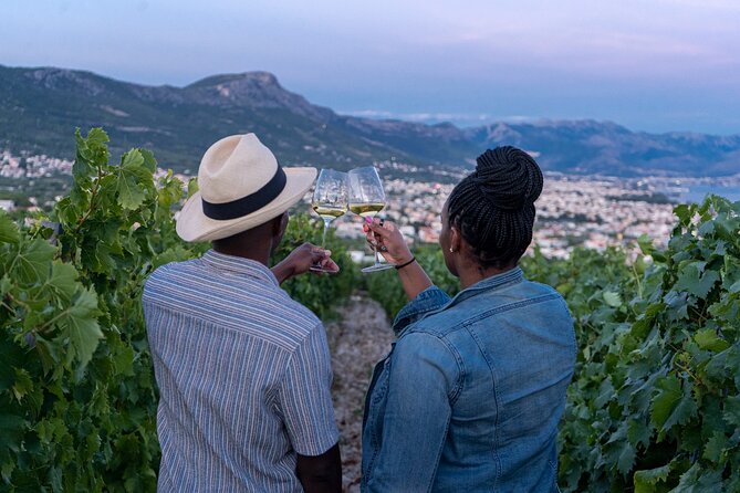 Vineyard Experience: Wine Tasting near Split - Key highlights to look forward to