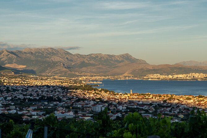 Vineyard Experience: Wine Tasting near Split - Who this tour suits best