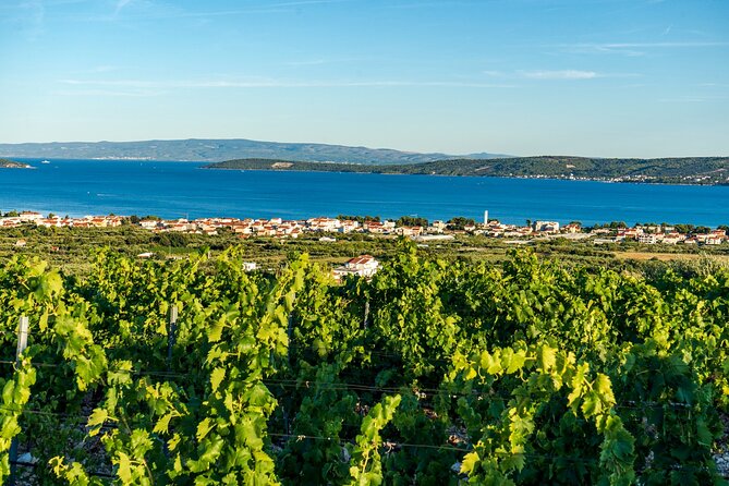 Vineyard Experience: Wine Tasting near Split - Kastel Novi: wine, snacks, and the coast scenery