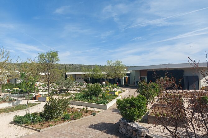 Visit Ancient Salona, Mighty Klis Fortress and Stella Croatica - Stop 3: Stella Croatica’s family farm—olive oil, figs, wine, and a garden walk